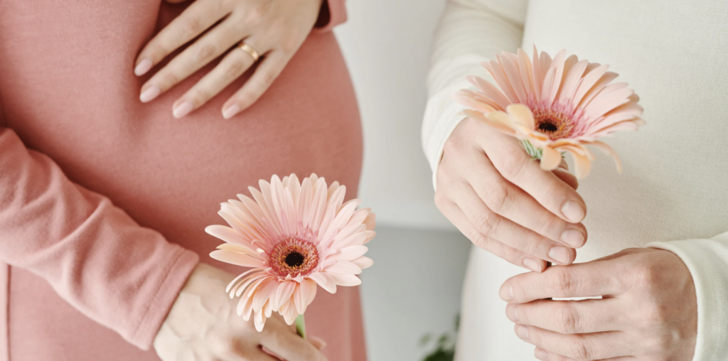 Highest Infertility Success Rate