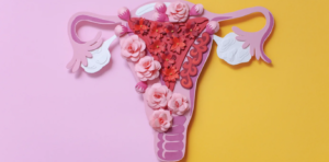 Medicaid and Gynecological Health Services in Vienna