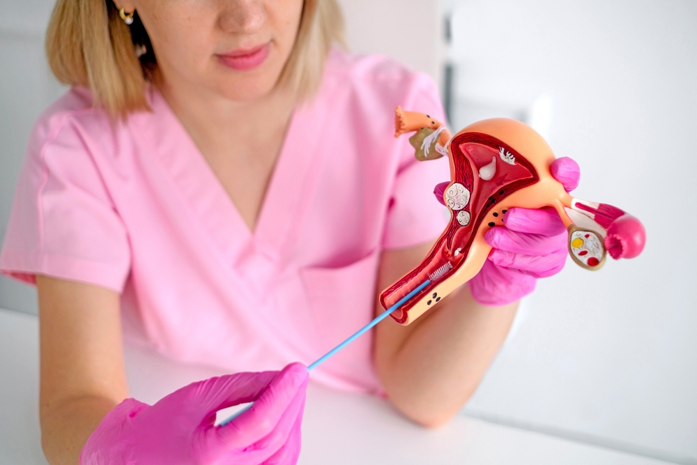 Gynecology Appointment for Pelvic Pain Near Ashburn, Virginia: When to Book